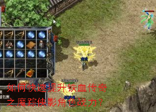 如何快速提升铁血传奇之魔踪侠影角色战力? 如何快速提升铁血传奇之魔踪侠影角色战力?