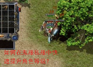 如何在鬼服私服中快速提升角色等级? 如何在鬼服私服中快速提升角色等级?