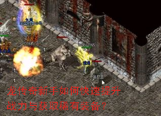 龙传奇新手如何快速提升战力与获取稀有装备? 龙传奇新手如何快速提升战力与获取稀有装备?