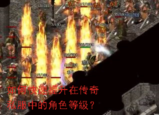 如何快速提升在传奇私服中的角色等级? 如何快速提升在传奇私服中的角色等级?