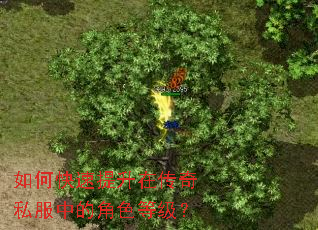 如何快速提升在传奇私服中的角色等级? 如何快速提升在传奇私服中的角色等级?