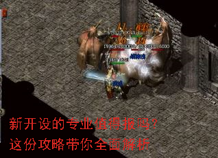 新开设的专业值得报吗?这份攻略带你全面解析 新开设的专业值得报吗?这份攻略带你全面解析