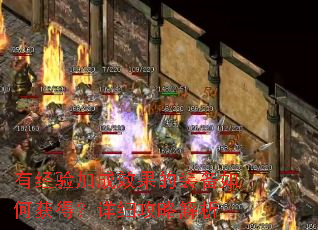 有经验加成效果的装备如何获得?详细攻略解析 有经验加成效果的装备如何获得?详细攻略解析