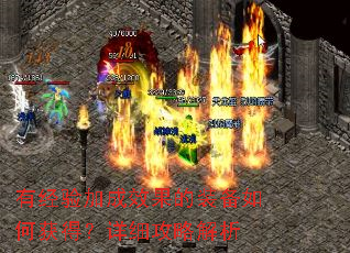 有经验加成效果的装备如何获得?详细攻略解析 有经验加成效果的装备如何获得?详细攻略解析