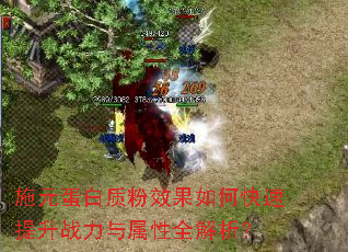 施元蛋白质粉效果如何快速提升战力与属性全解析? 施元蛋白质粉效果如何快速提升战力与属性全解析?