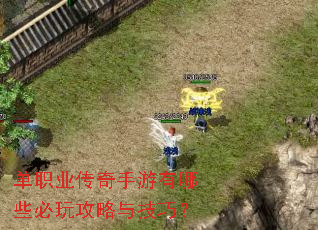 单职业传奇手游有哪些必玩攻略与技巧? 单职业传奇手游有哪些必玩攻略与技巧?