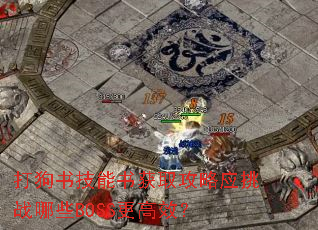 打狗书技能书获取攻略应挑战哪些BOSS更高效? 打狗书技能书获取攻略应挑战哪些BOSS更高效?