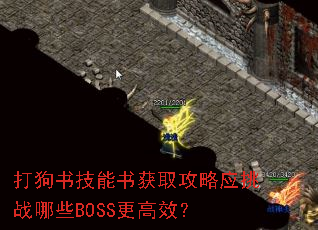 打狗书技能书获取攻略应挑战哪些BOSS更高效? 打狗书技能书获取攻略应挑战哪些BOSS更高效?