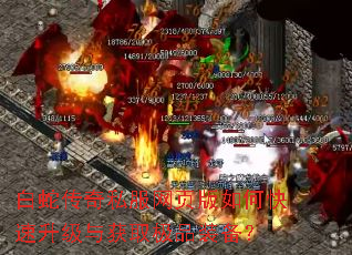 白蛇传奇私服网页版如何快速升级与获取极品装备? 白蛇传奇私服网页版如何快速升级与获取极品装备?