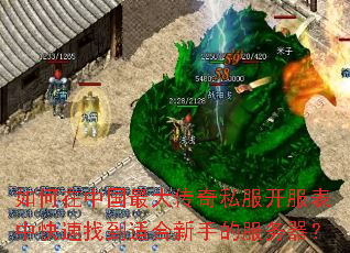 如何在中国最大传奇私服开服表中快速找到适合新手的服务器? 如何在中国最大传奇私服开服表中快速找到适合新手的服务器?