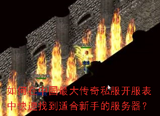 如何在中国最大传奇私服开服表中快速找到适合新手的服务器? 如何在中国最大传奇私服开服表中快速找到适合新手的服务器?