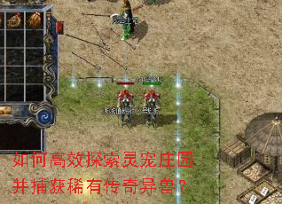 如何高效探索灵宠庄园并捕获稀有传奇异兽? 如何高效探索灵宠庄园并捕获稀有传奇异兽?