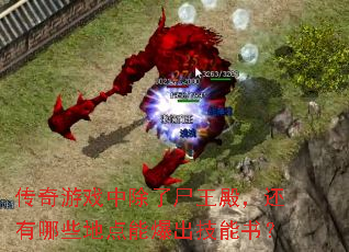传奇游戏中除了尸王殿,还有哪些地点能爆出技能书? 传奇游戏中除了尸王殿,还有哪些地点能爆出技能书?