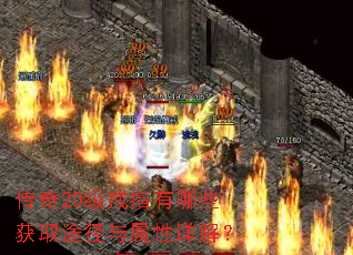 传奇20级戒指有哪些获取途径与属性详解? 传奇20级戒指有哪些获取途径与属性详解?