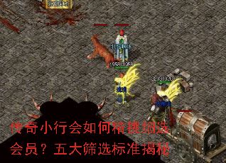 传奇小行会如何精挑细选会员?五大筛选标准揭秘 传奇小行会如何精挑细选会员?五大筛选标准揭秘