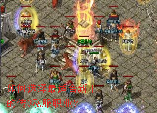 如何选择最适合新手的传3私服职业? 如何选择最适合新手的传3私服职业?